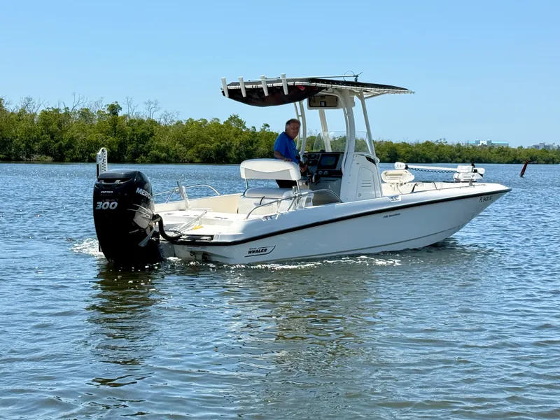 Slide: The Image of Boston Whaler 240 DAUNTLESS 2015 - 10