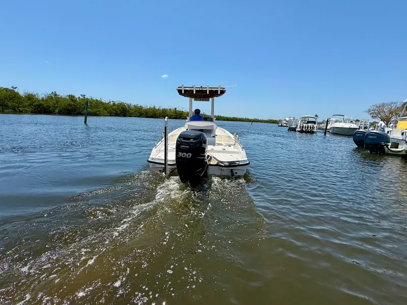 Slide: The Image of Boston Whaler 240 DAUNTLESS 2015 - 12
