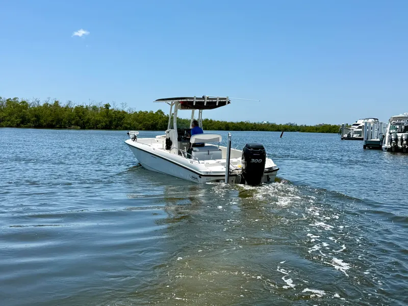 Slide: The Image of Boston Whaler 240 DAUNTLESS 2015 - 8