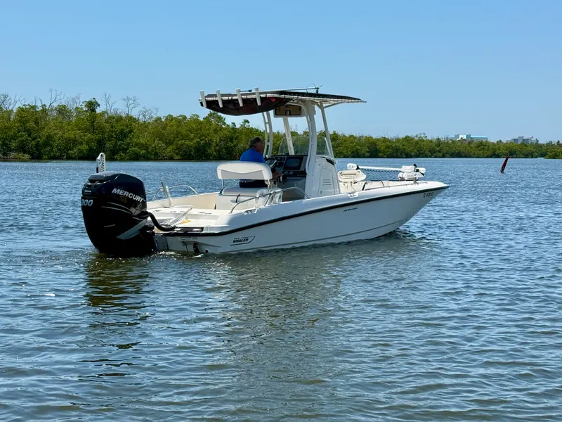 Slide: The Image of Boston Whaler 240 DAUNTLESS 2015 - 9