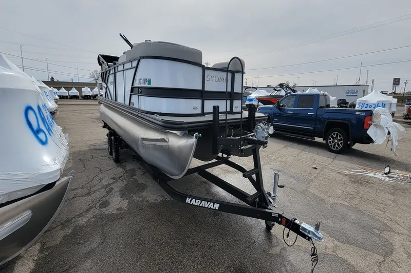 The Image of Sylvan L3LZTT 2021 - 0