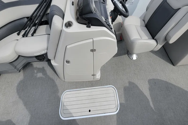 Slide: The Image of Sylvan L3LZTT 2021 - 13