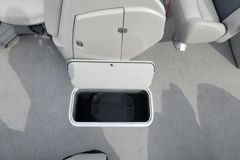 Slide: The Image of Sylvan L3LZTT 2021 - 14