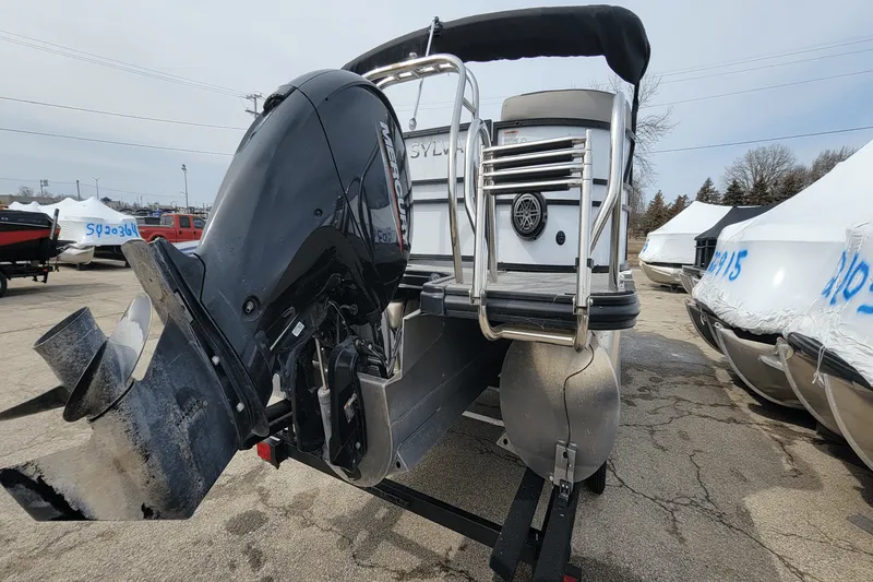 Slide: The Image of Sylvan L3LZTT 2021 - 19