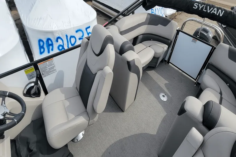 Slide: The Image of Sylvan L3LZTT 2021 - 6