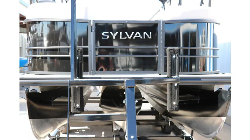 Slide: The Image of Sylvan Mirage X3 CLZ DH Tri Toon 2025 - 12