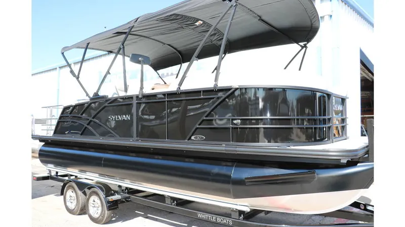 Slide: The Image of Sylvan Mirage X3 CLZ DH Tri Toon 2025 - 2