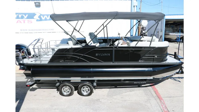 Slide: The Image of Sylvan Mirage X3 CLZ DH Tri Toon 2025 - 3