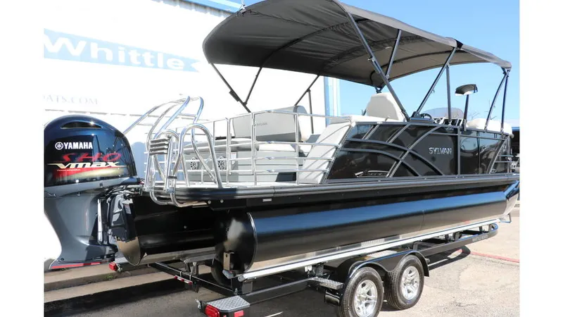 Slide: The Image of Sylvan Mirage X3 CLZ DH Tri Toon 2025 - 4