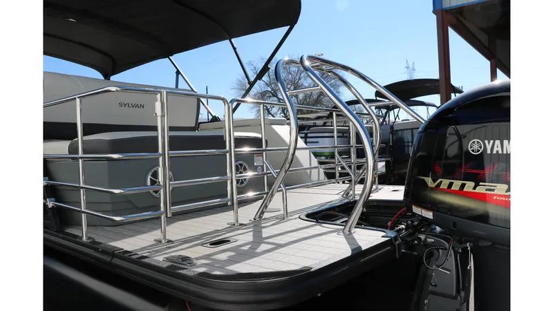 Slide: The Image of Sylvan Mirage X3 CLZ DH Tri Toon 2025 - 7