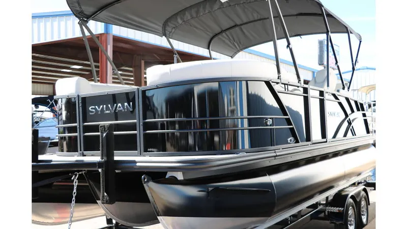 Slide: The Image of Sylvan Mirage X3 CLZ DH Tri Toon 2025 - 9