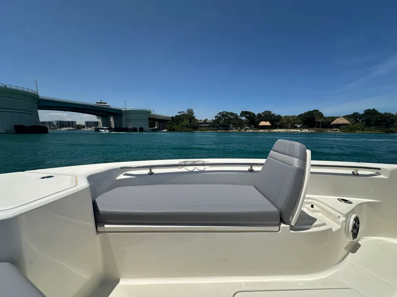 Slide: The Image of Boston Whaler 280 Dauntless 2024 - 15