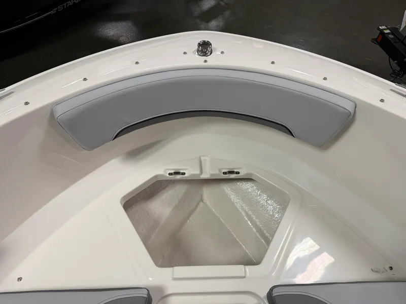 Slide: The Image of Bayliner V20I 2025 - 29