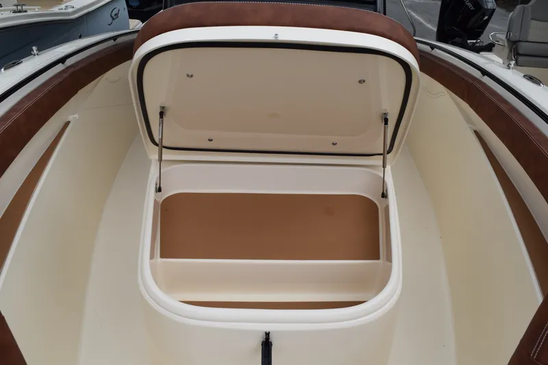 Slide: The Image of Scout 305 LXF 2026 - 29