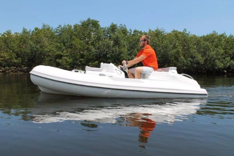Slide: The Image of 2018 Ribjet 10 Jet Yacht Tender on calm water with lush greenery in the background. - 12