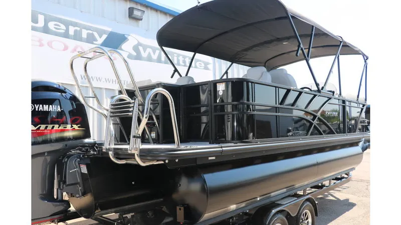 Slide: The Image of Sylvan Mirage X3 Party Fish Tri Toon 2025 - 3