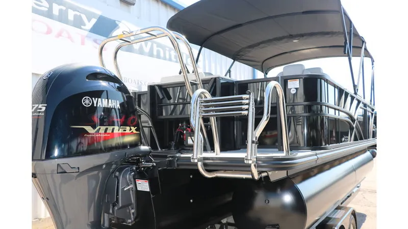 Slide: The Image of Sylvan Mirage X3 Party Fish Tri Toon 2025 - 4