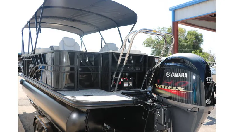 Slide: The Image of Sylvan Mirage X3 Party Fish Tri Toon 2025 - 5