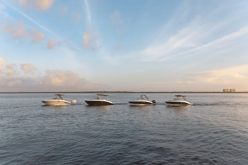 Slide: The Image of Sea Ray SPX 190 Outboard 2025 - 50