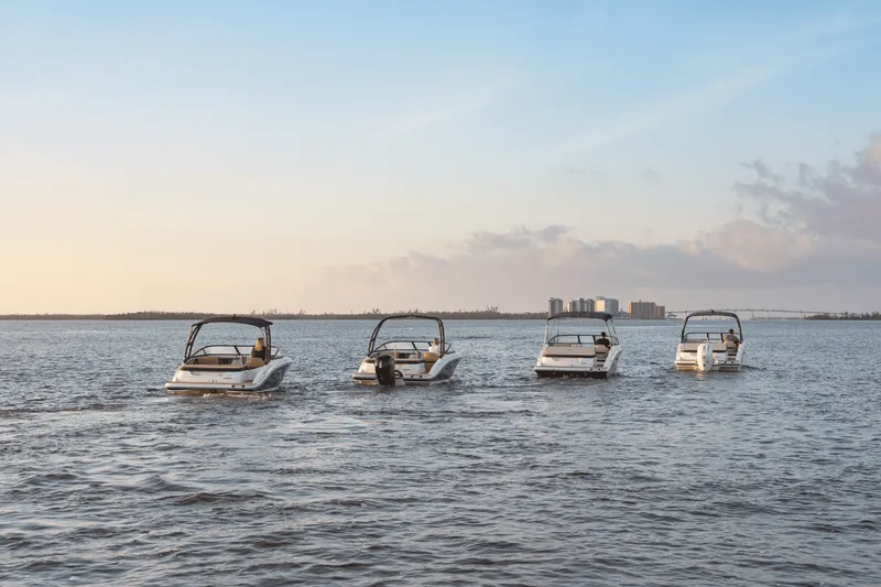 Slide: The Image of Sea Ray SPX 190 Outboard 2025 - 51