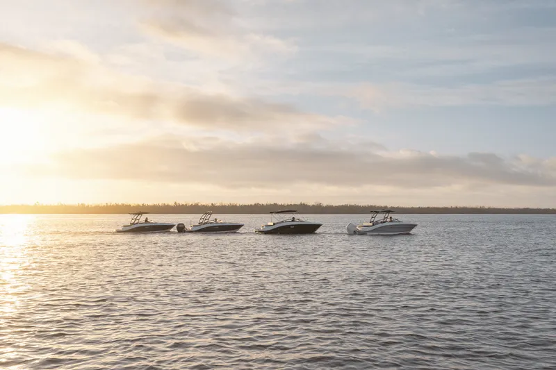 Slide: The Image of Sea Ray SPX 190 Outboard 2025 - 55