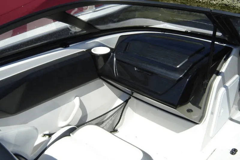 Slide: The Image of Scarab 195 G 2019 - 12