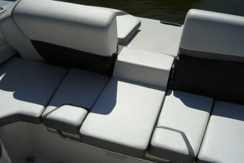 Slide: The Image of Scarab 195 G 2019 - 4