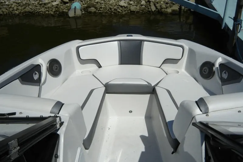 Slide: The Image of Scarab 195 G 2019 - 5