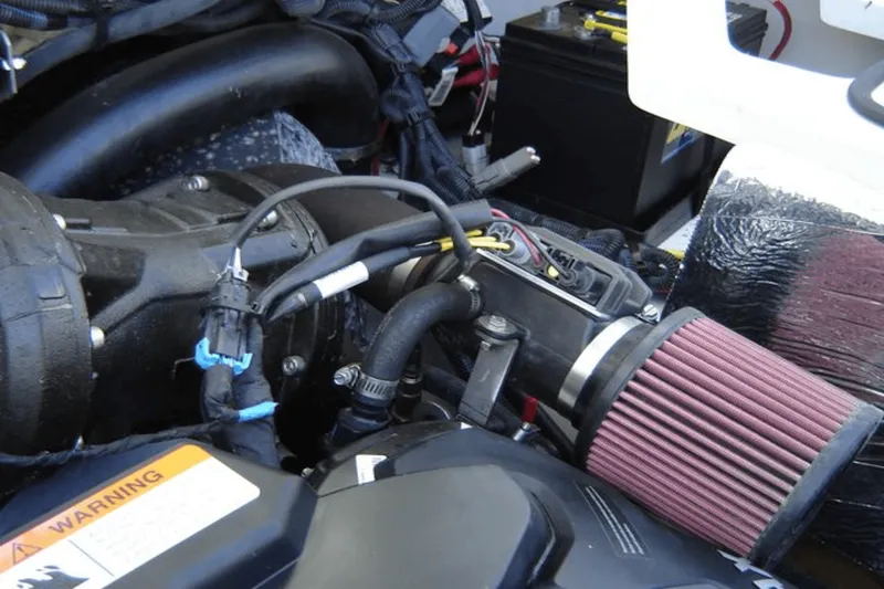 Slide: The Image of Scarab 195 G 2019 - 7