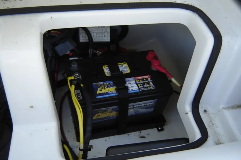 Slide: The Image of Scarab 195 G 2019 - 9