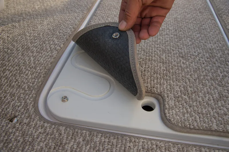 Slide: The Image of Scarab 195 HO 2017 - 25