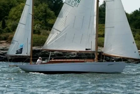 Slide: The Image of Photo 4 - 4