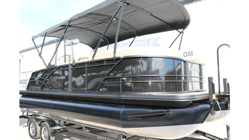 Slide: The Image of Sylvan Mirage X3 CLZ DH Tri Toon 2025 - 10