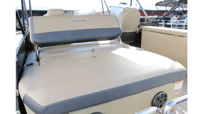 Slide: The Image of Sylvan Mirage X3 CLZ DH Tri Toon 2025 - 20