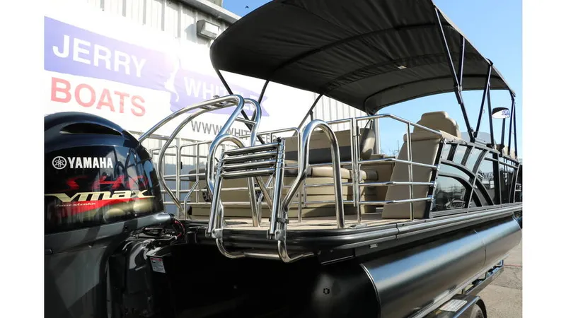 Slide: The Image of Sylvan Mirage X3 CLZ DH Tri Toon 2025 - 3