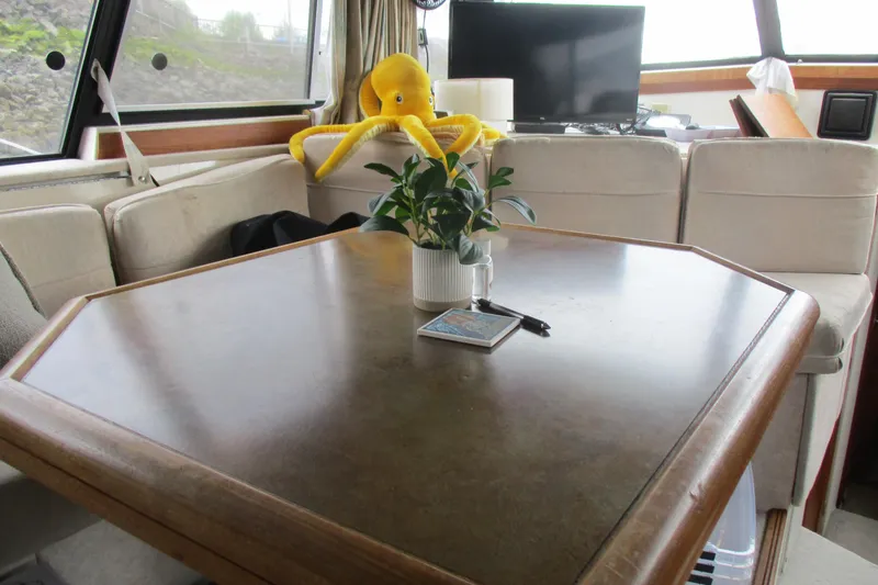 Slide: The Image of Interior of 1988 Bayliner 3888 Motoryacht with table, plant, and plush toy. - 20