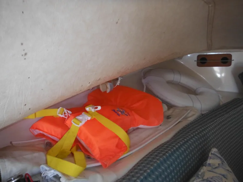 Slide: The Image of Blackfin 29 Combi 1985 - 77