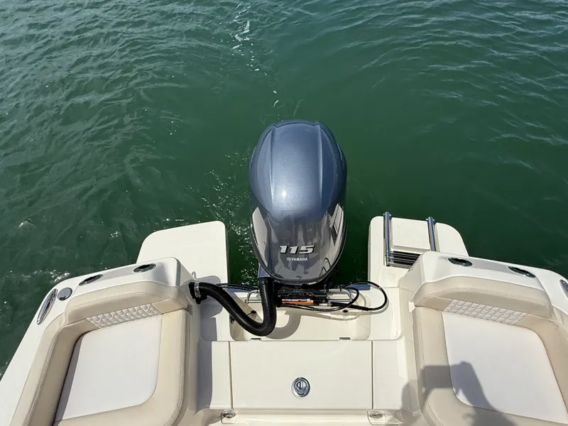 Slide: The Image of Scout 188 Sport Dorado 2026 - 6
