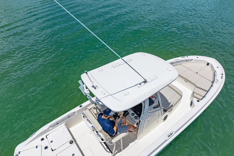 Slide: The Image of Boston Whaler 250 Dauntless 2025 - 12