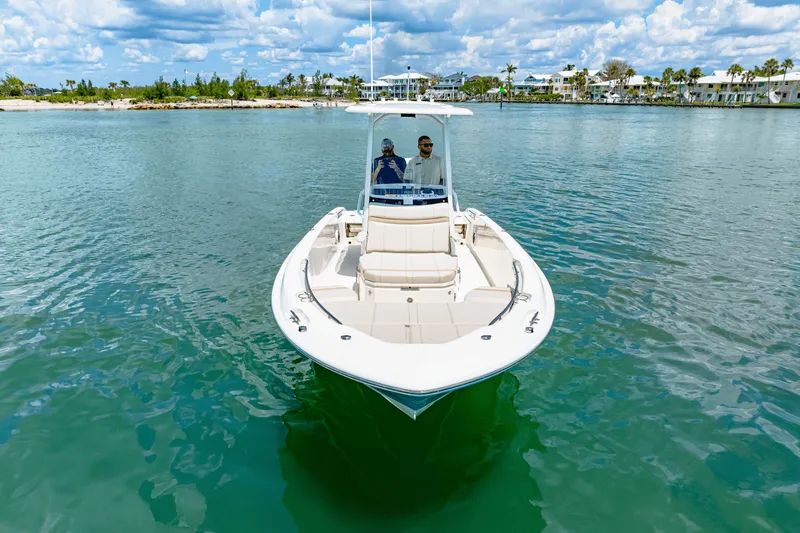Slide: The Image of Boston Whaler 250 Dauntless 2025 - 14