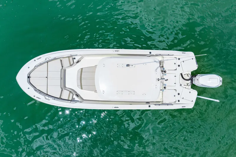 Slide: The Image of Boston Whaler 250 Dauntless 2025 - 17