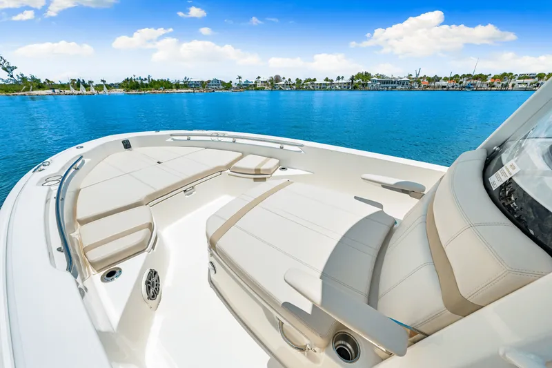 Slide: The Image of Boston Whaler 250 Dauntless 2025 - 18