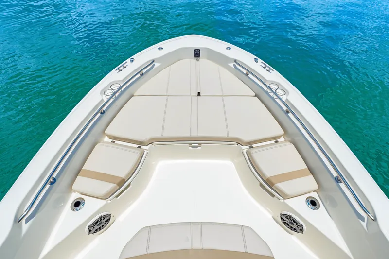 Slide: The Image of Boston Whaler 250 Dauntless 2025 - 19