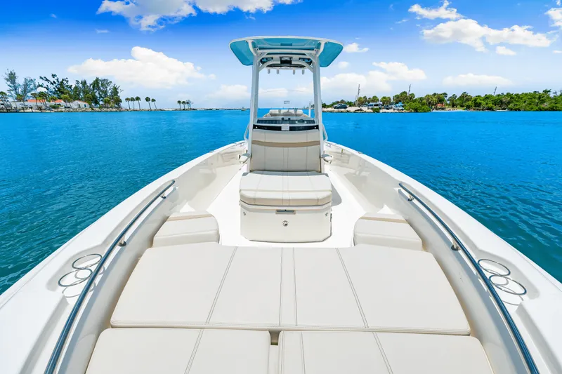 Slide: The Image of Boston Whaler 250 Dauntless 2025 - 20