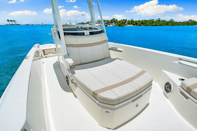 Slide: The Image of Boston Whaler 250 Dauntless 2025 - 21