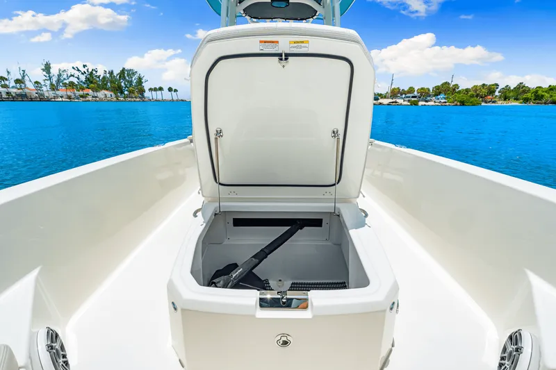 Slide: The Image of Boston Whaler 250 Dauntless 2025 - 22