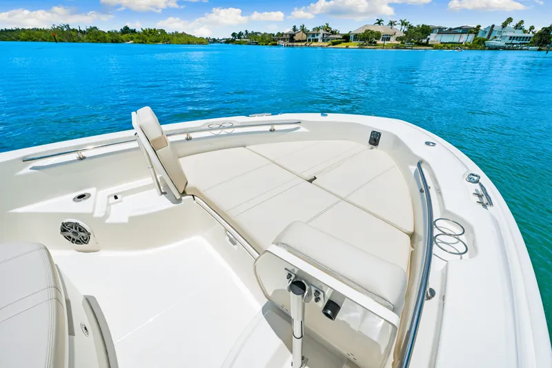 Slide: The Image of Boston Whaler 250 Dauntless 2025 - 24