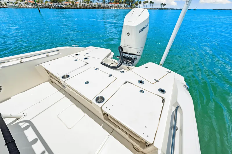 Slide: The Image of Boston Whaler 250 Dauntless 2025 - 28