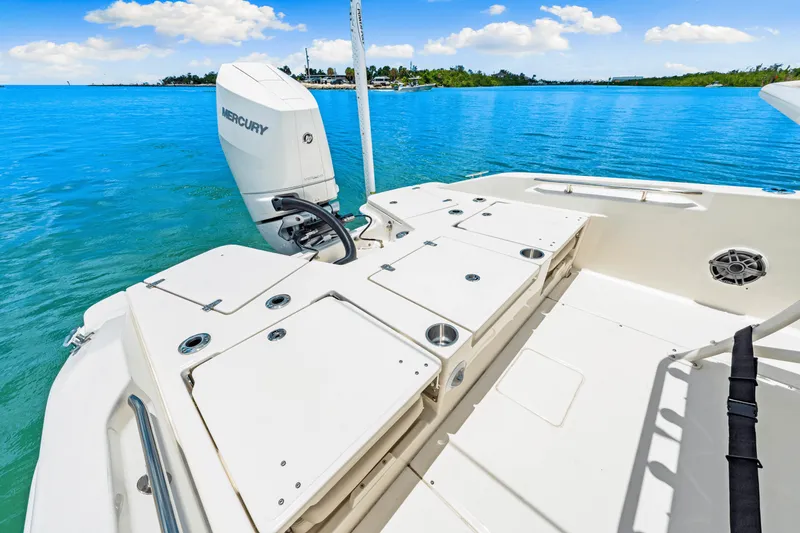 Slide: The Image of Boston Whaler 250 Dauntless 2025 - 29