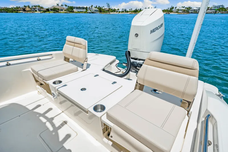 Slide: The Image of Boston Whaler 250 Dauntless 2025 - 30